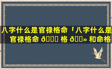 八字什么是官禄格命「八字什么是官禄格命 🐅 格 🌻 和命格」